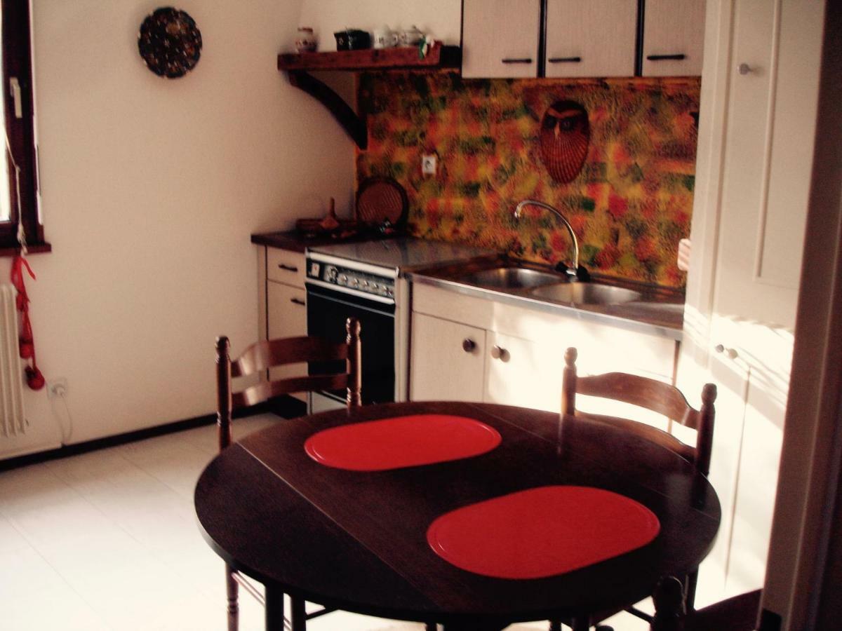 Apartament Patio Colmar Zewnętrze zdjęcie